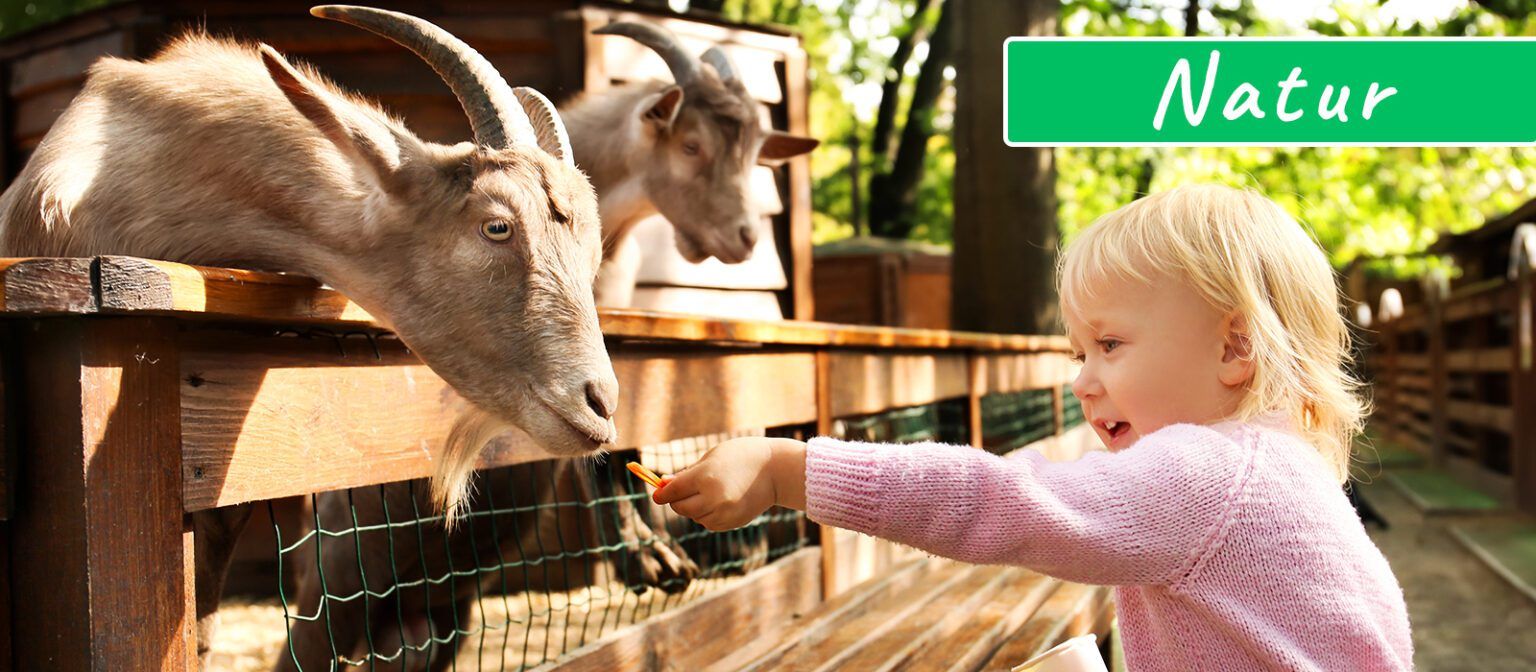 Von Aussichtspunkt bis Zoo